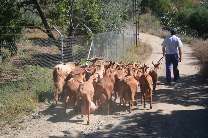 Moving up the lane  